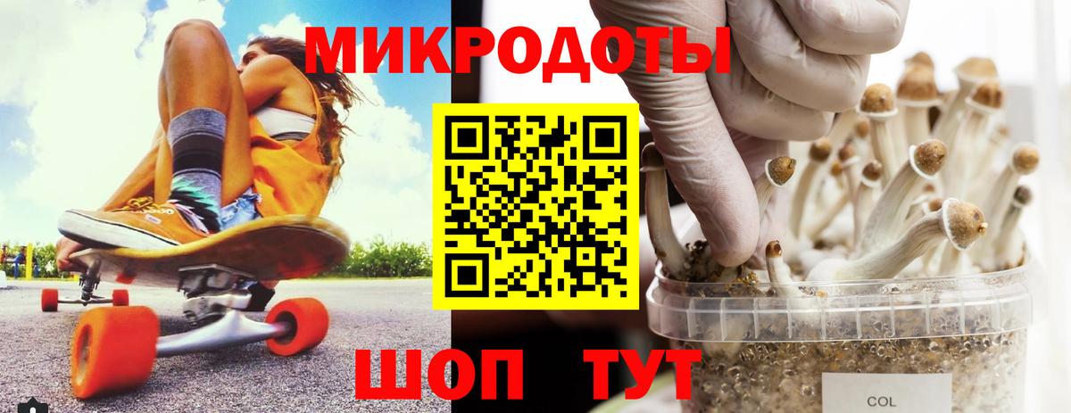 Псилоцибиновые грибы Cubensis Бор
