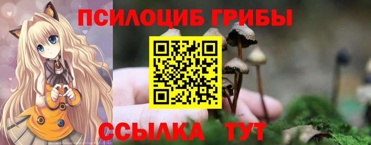 Галлюциногенные грибы Cubensis  Вход с VPN  Бор  Галлюциногенные грибы Magic Shrooms 